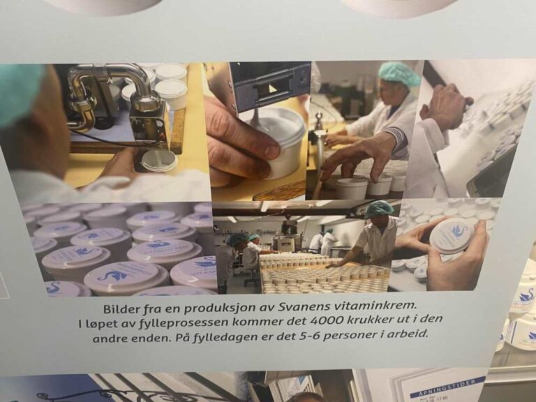 Schimb de experiență și bune practici cu organizația parteneră Bente Aid, din Norvegia